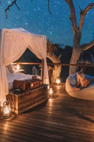 Starry-night-outdoor-bed